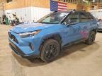 TOYOTA RAV4 2025