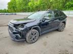 TOYOTA RAV4 2023
