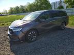HONDA ODYSSEY 2022