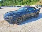 FORD MUSTANG 2022