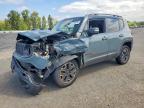 JEEP RENEGADE 2017