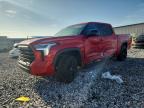 TOYOTA TUNDRA 2026