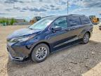 TOYOTA SIENNA 2023