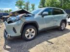 TOYOTA RAV4 2022