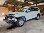 TOYOTA GRAND HIGHLANDER 2024