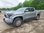 TOYOTA TACOMA 2026