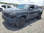 TOYOTA TACOMA 2025