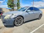 NISSAN MAXIMA 2007