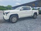 TOYOTA TACOMA 2024