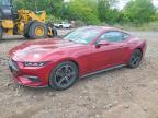 FORD MUSTANG 2025