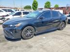 TOYOTA CAMRY 2023