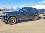 TOYOTA RAV4 HYBRID 2020