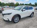 HONDA CR-V 2024