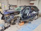 TOYOTA RAV4 2021