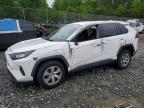 TOYOTA RAV4 2022