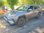 TOYOTA RAV4 2024