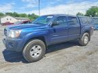 TOYOTA TACOMA 2006