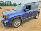 JEEP RENEGADE 2019