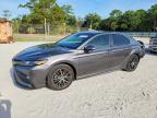 TOYOTA CAMRY 2023