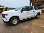 CHEVROLET SILVERADO 2023