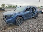 HONDA CR-V 2026