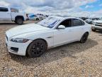 JAGUAR XF 2019