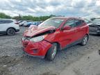 HYUNDAI TUCSON 2011