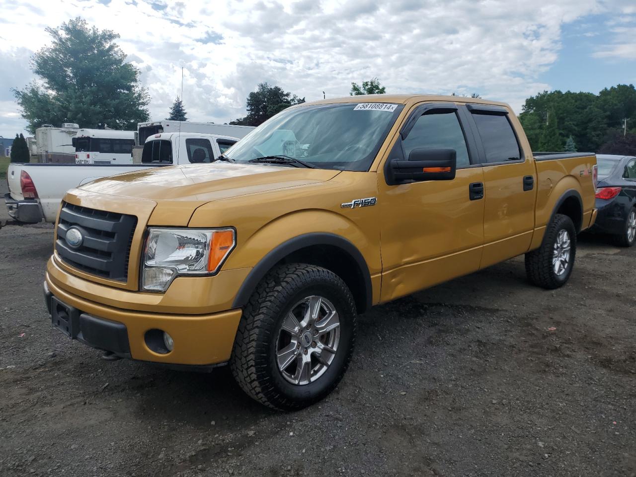 FORD F-150 2009
