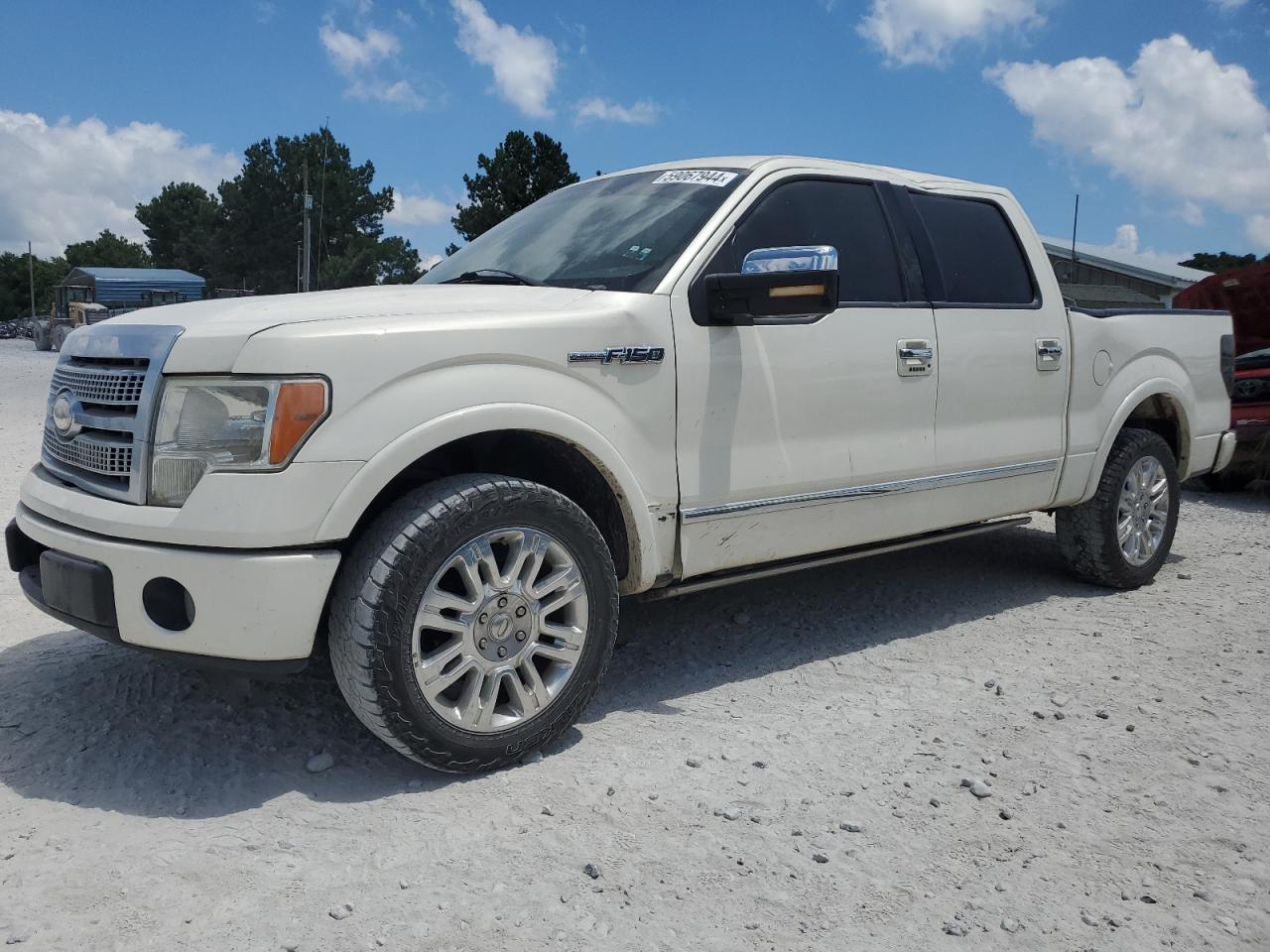 FORD F-150 2009