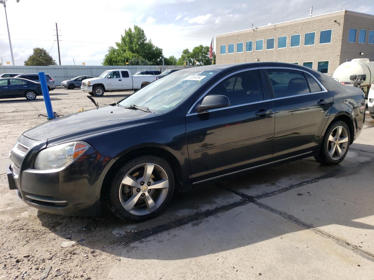 CHEVROLET MALIBU 2011