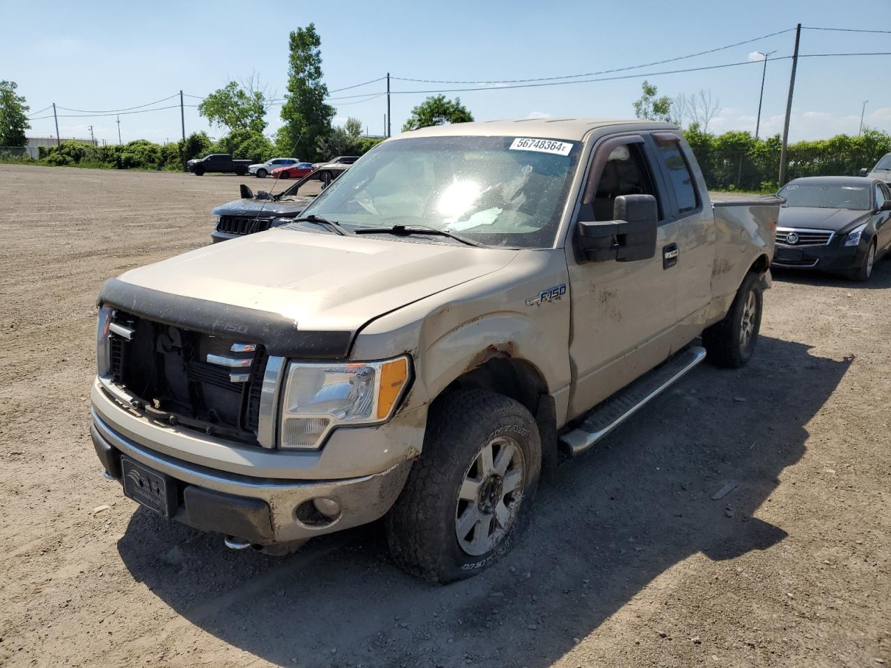 FORD F-150 2010
