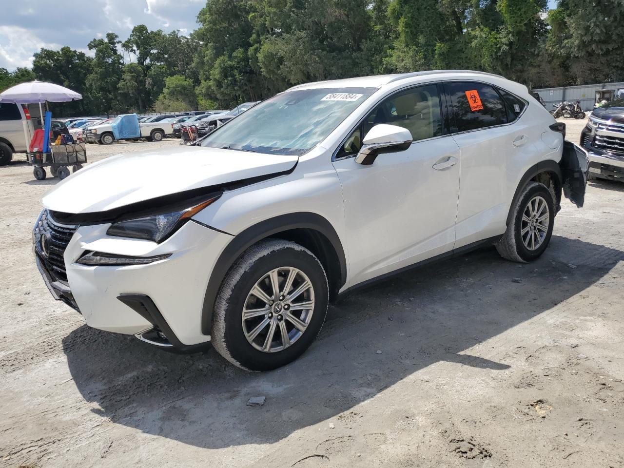 LEXUS NX 2019