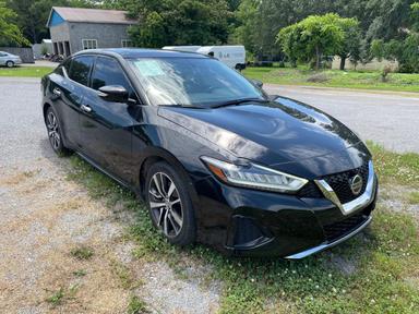 Nissan Maxima 2019