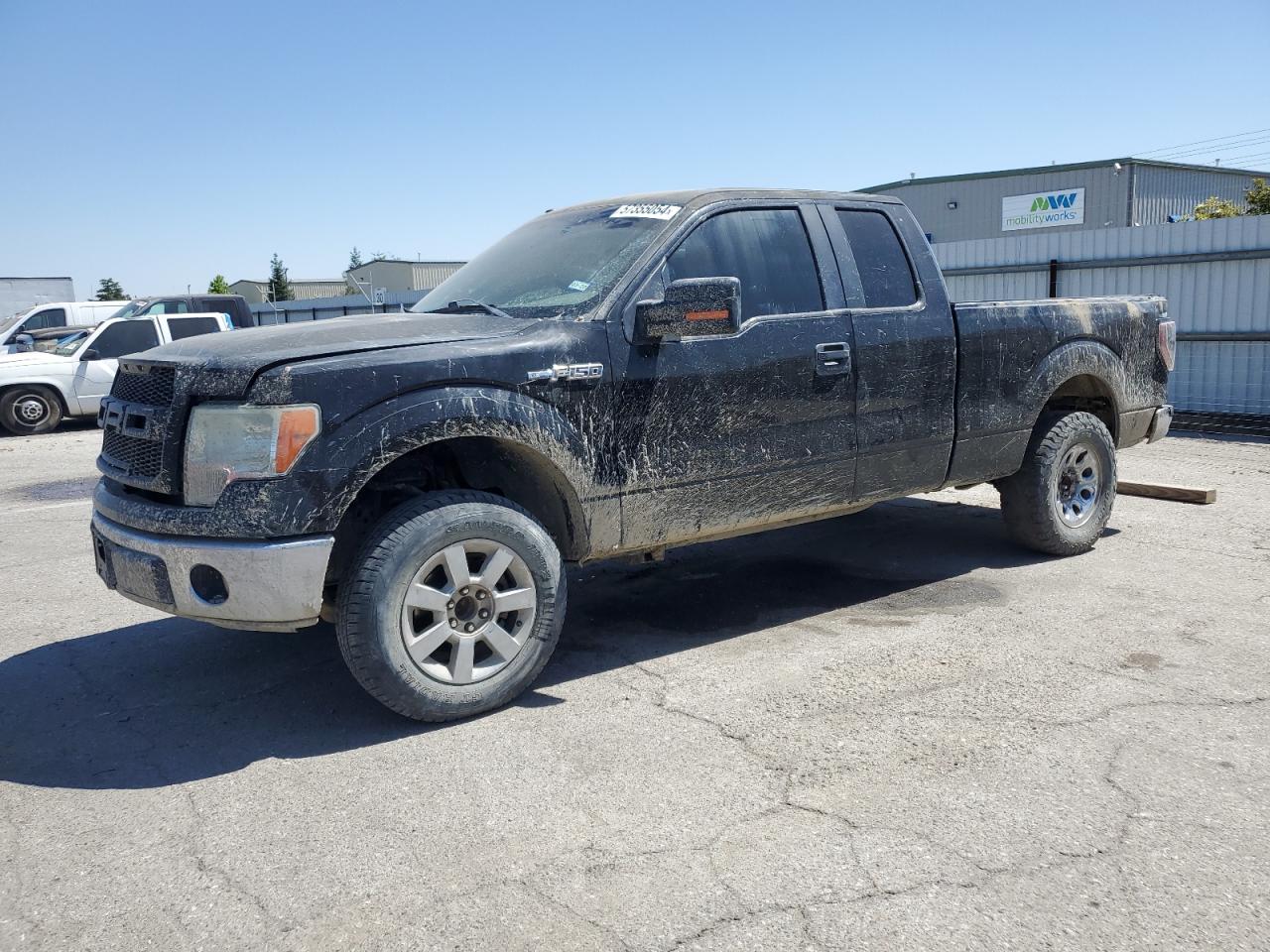 FORD F-150 2009