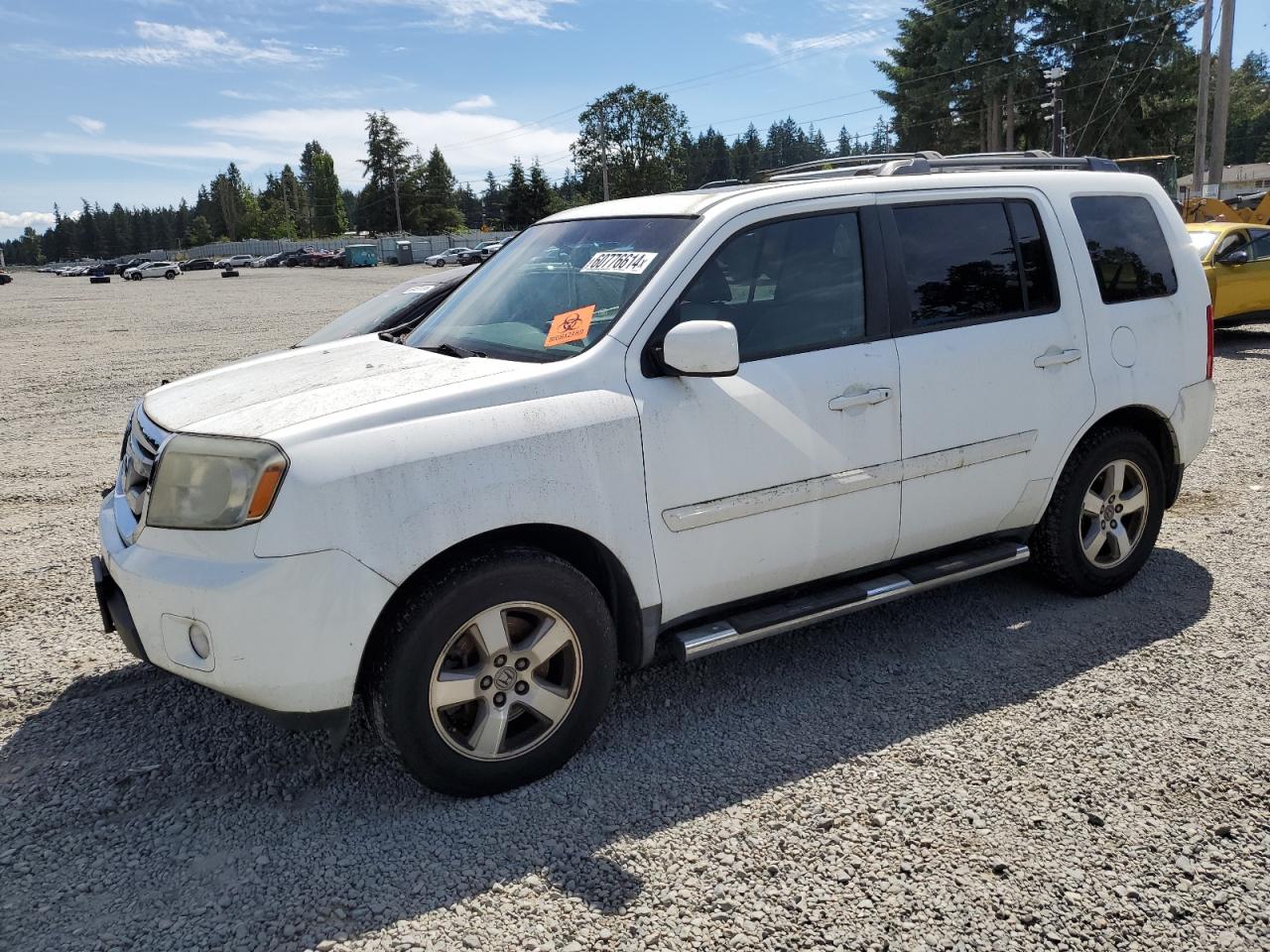 HONDA PILOT EXL 2009