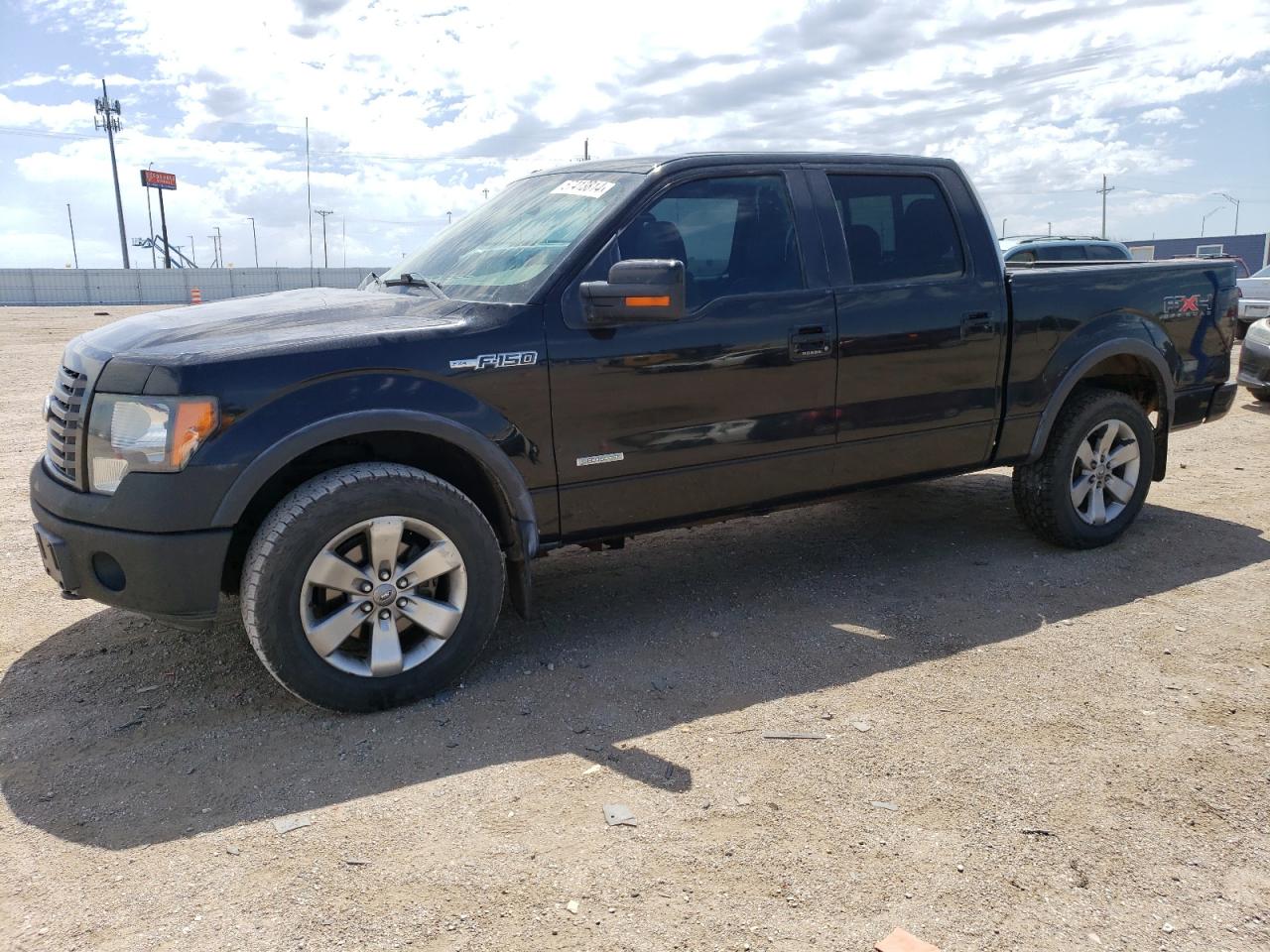 FORD F-150 2011