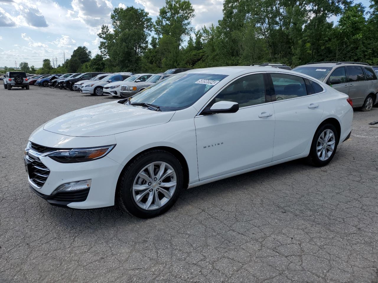 CHEVROLET MALIBU LT 2024