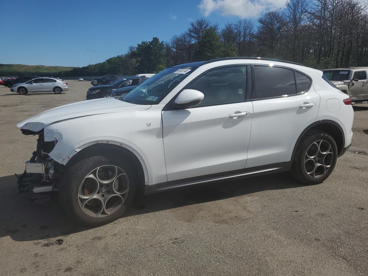 ALFA ROMEO STELVIO 2022