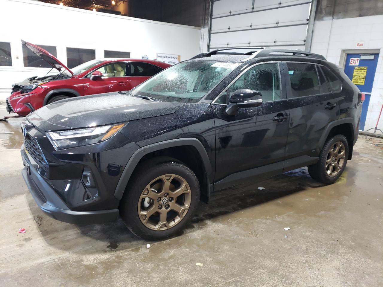 TOYOTA RAV4 WOODL 2024