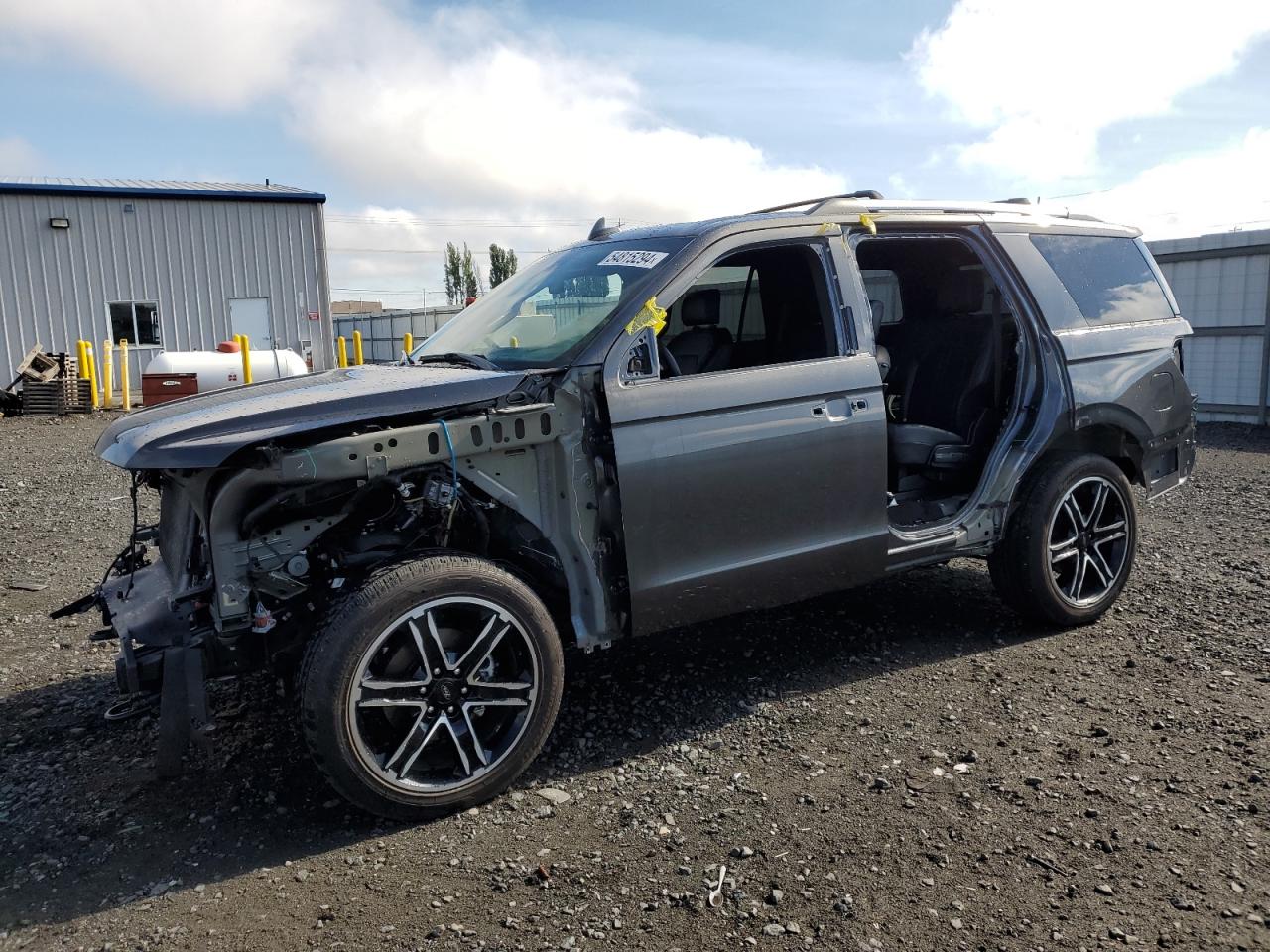 FORD EXPEDITION 2019