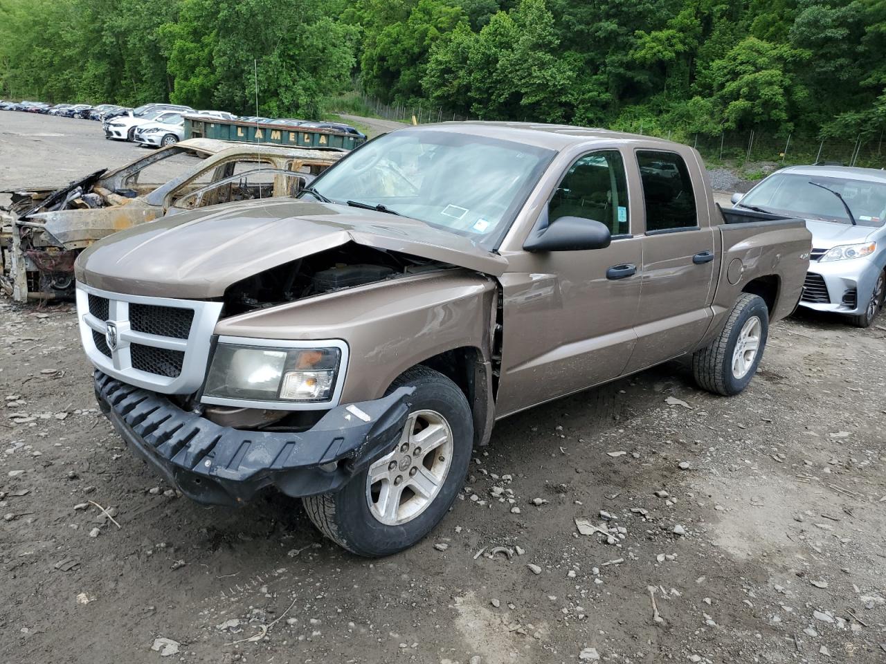 DODGE DAKOTA 2009