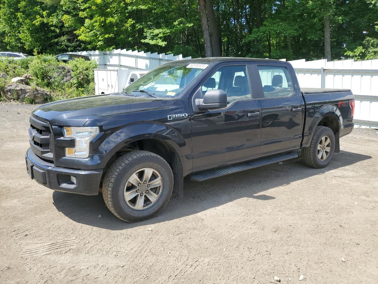 FORD F-150 2015