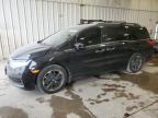 HONDA ODYSSEY 2023