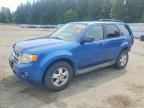 FORD ESCAPE 2009