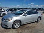 NISSAN ALTIMA 2016