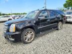 CADILLAC ESCALADE 2010