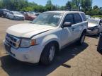 FORD ESCAPE 2010