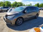 HONDA ODYSSEY 2021