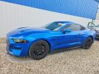 FORD MUSTANG 2020
