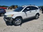 HONDA CR-V 2010